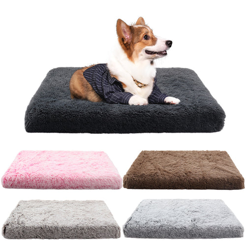 Cozy plush dog sofa bed in living room setting