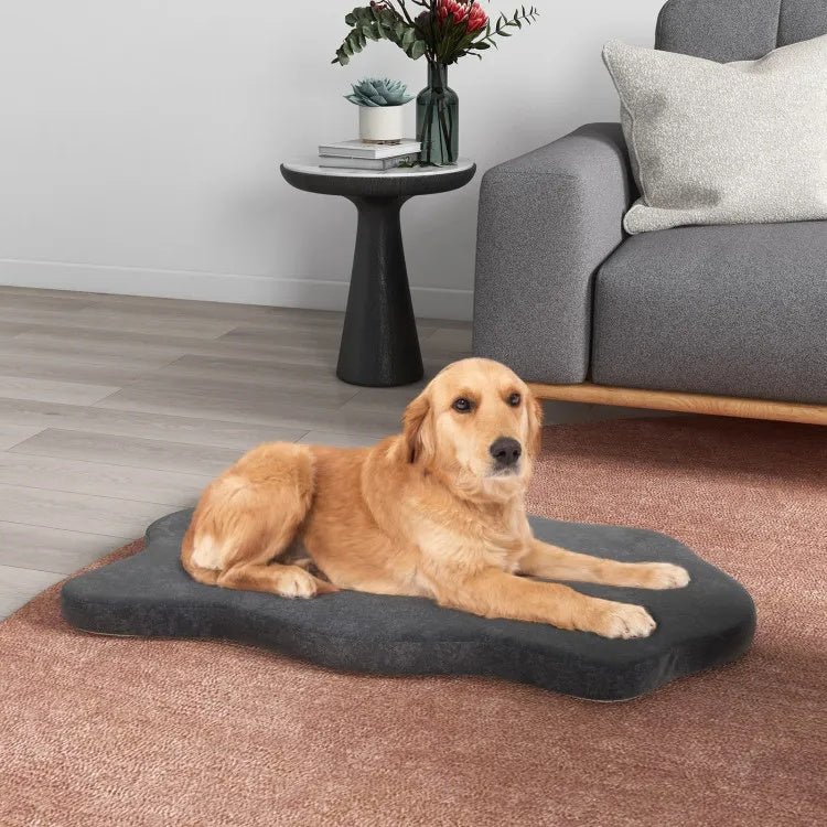 Orthopedic dog bed size and dimensions