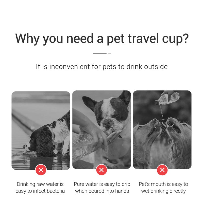 Leakproof Outdoor Water Bottle for Small Dogs