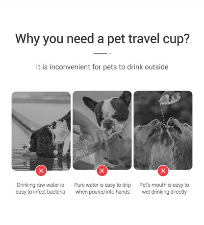 Leakproof Outdoor Water Bottle for Small Dogs