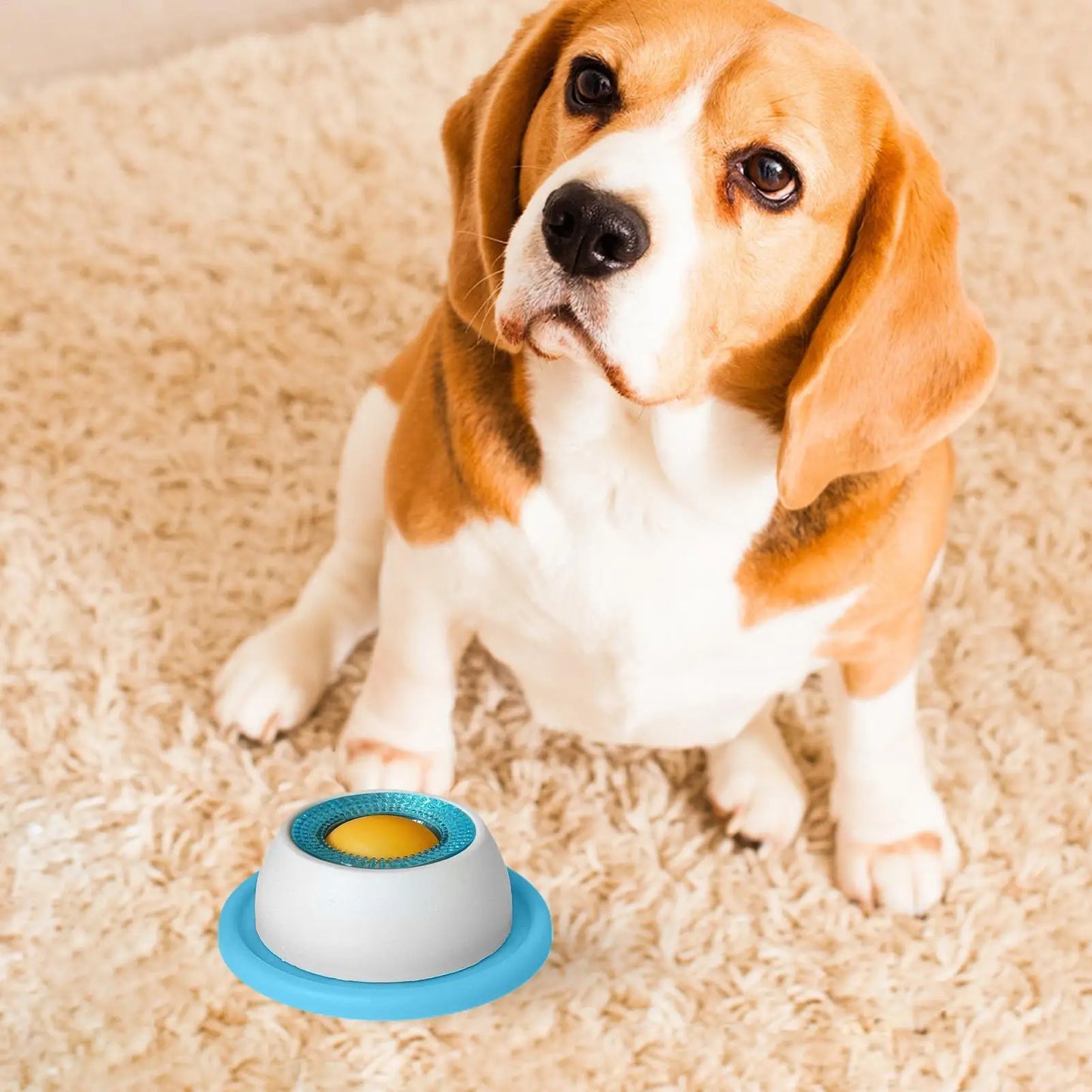 Slow Feeder Puzzle Treat Toy