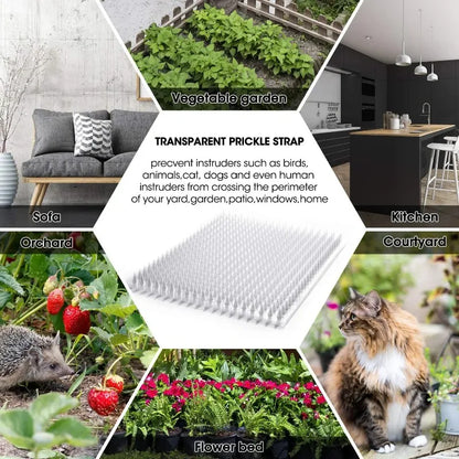 Anti-Digging Garden Spikes for Pets