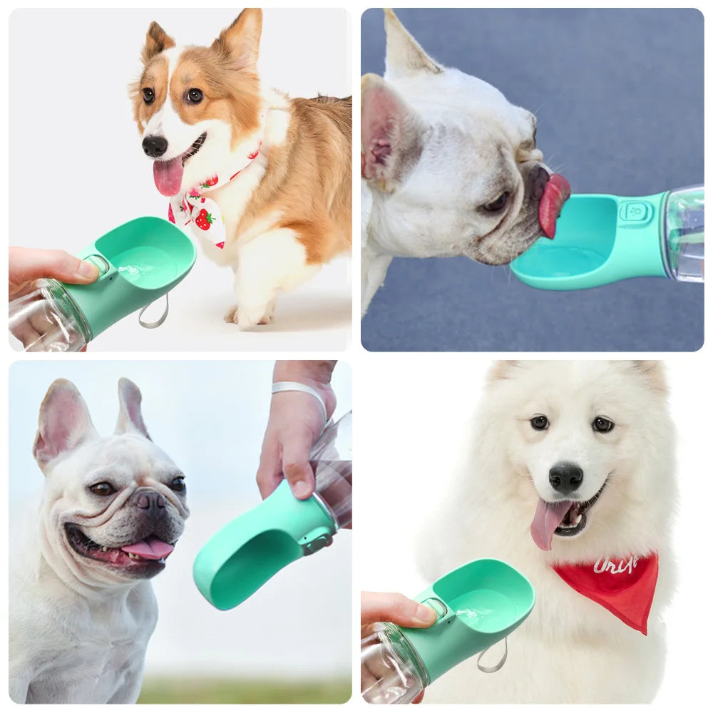 Leakproof Outdoor Water Bottle for Small Dogs