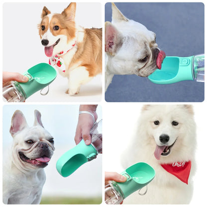 Leakproof Outdoor Water Bottle for Small Dogs