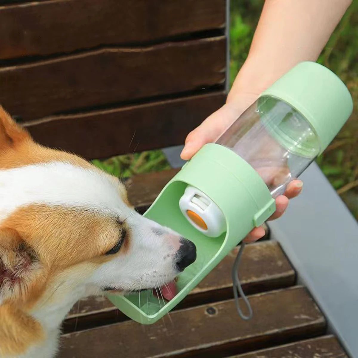 Portable Pet Water Bottle – Compact Travel Size