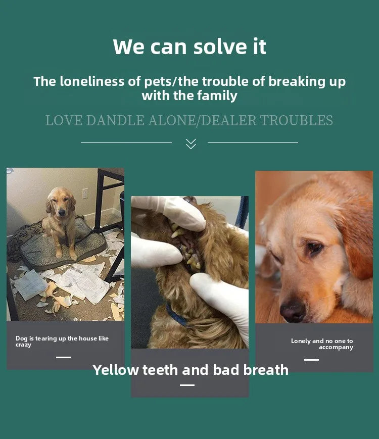 Squeaky Plush Chew Toy for Dogs
