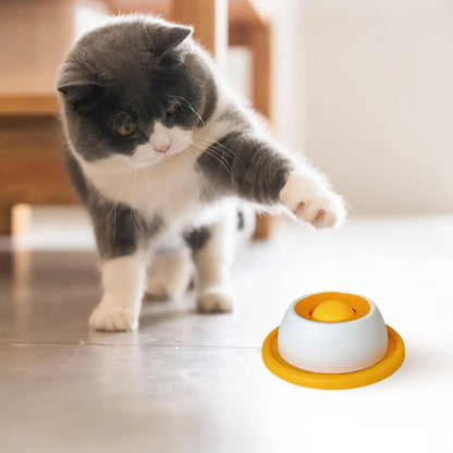 Slow Feeder Puzzle Treat Toy