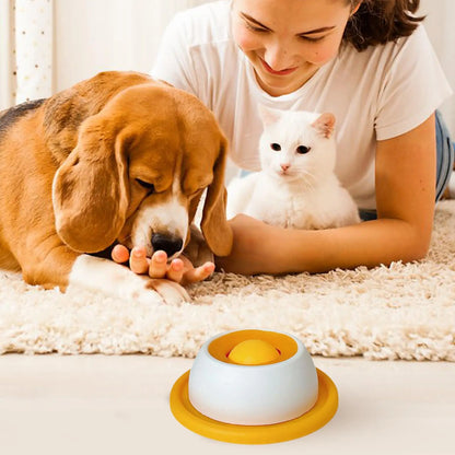 Slow Feeder Puzzle Treat Toy