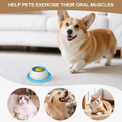 Slow Feeder Puzzle Treat Toy