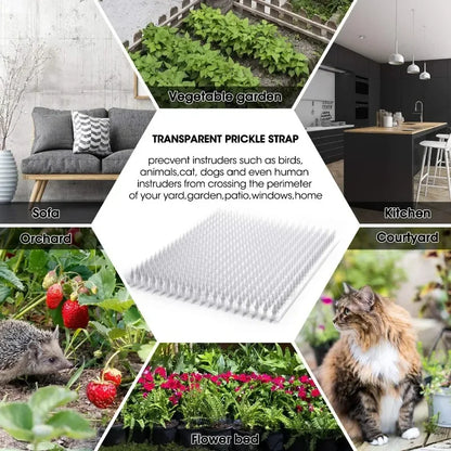 Anti-Digging Garden Spikes for Pets