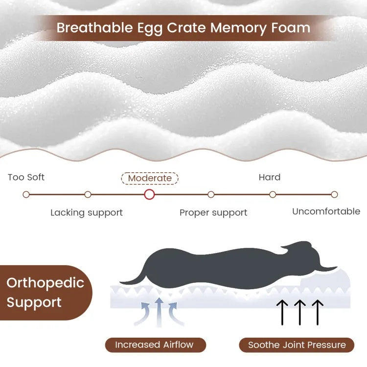 Orthopedic memory foam dog bed lifestyle photo
