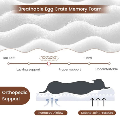 Orthopedic memory foam dog bed lifestyle photo